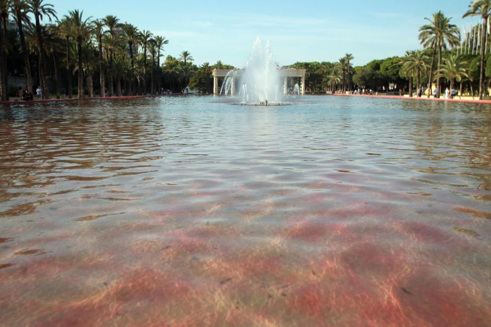 La fuente del Palau pasa del rojo al marrón en un mes
