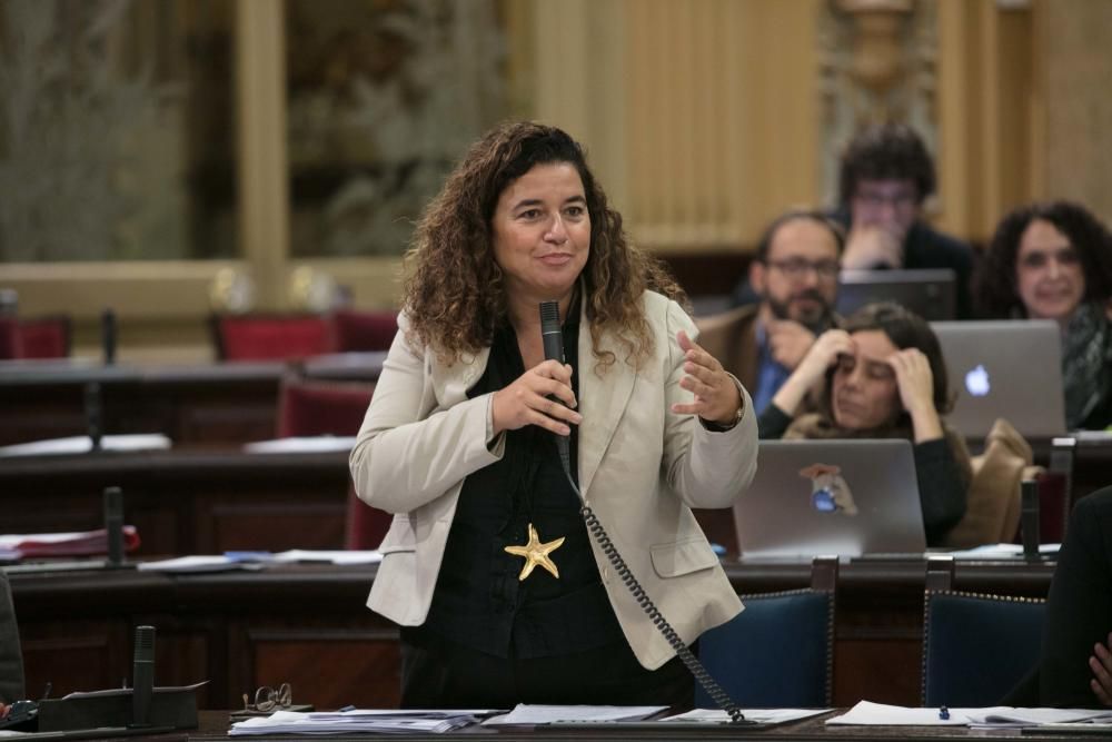 Pleno del Parlament del 15 de noviembre