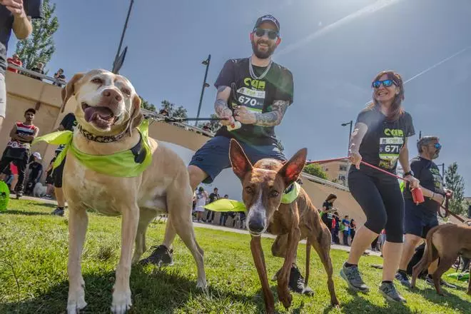 Vuelve la Can We Run, la carrera solidaria que une a perros y dueños en Santa Coloma