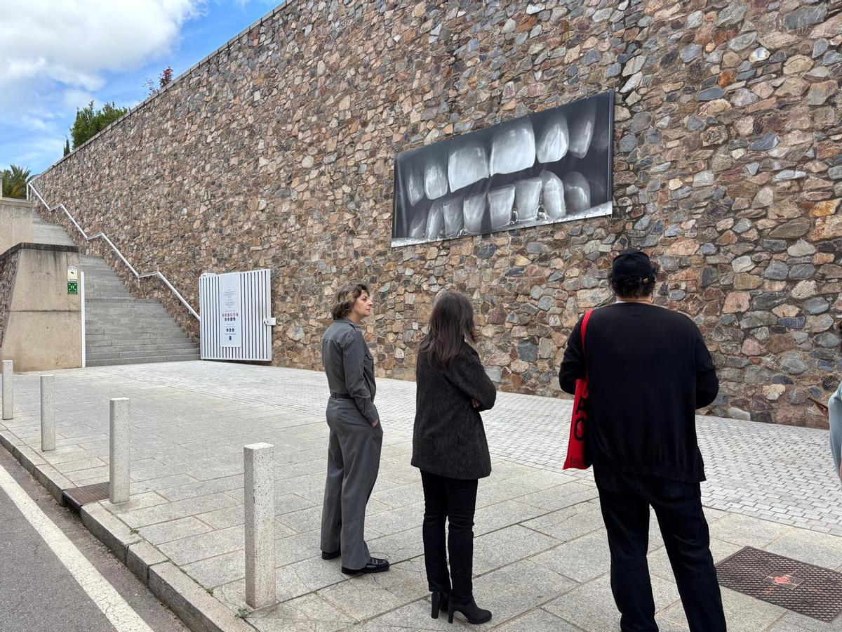 FOTOGALERÍA | La muestra Santiago Sierra en el Museo Helga de Alvear, en imágenes