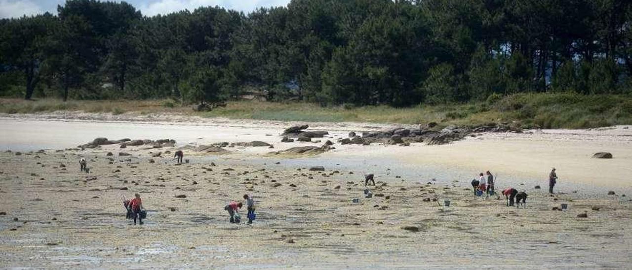 Parque natural de Carreirón, en A Illa de Arousa. // Noé Parga