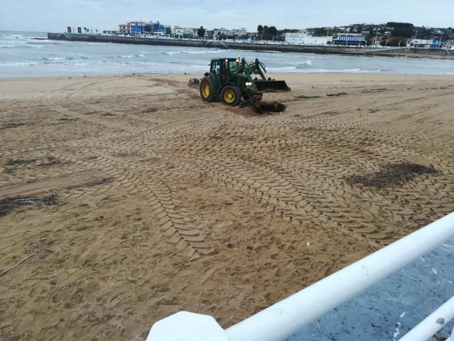 Operarios retirando un tronco en la playa de San Lorenzo de Gijón