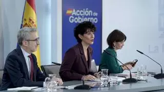 El Gobierno se resigna a batallar contra el Supremo la suspensión del voto de los nacionalizados con la ley de nietos