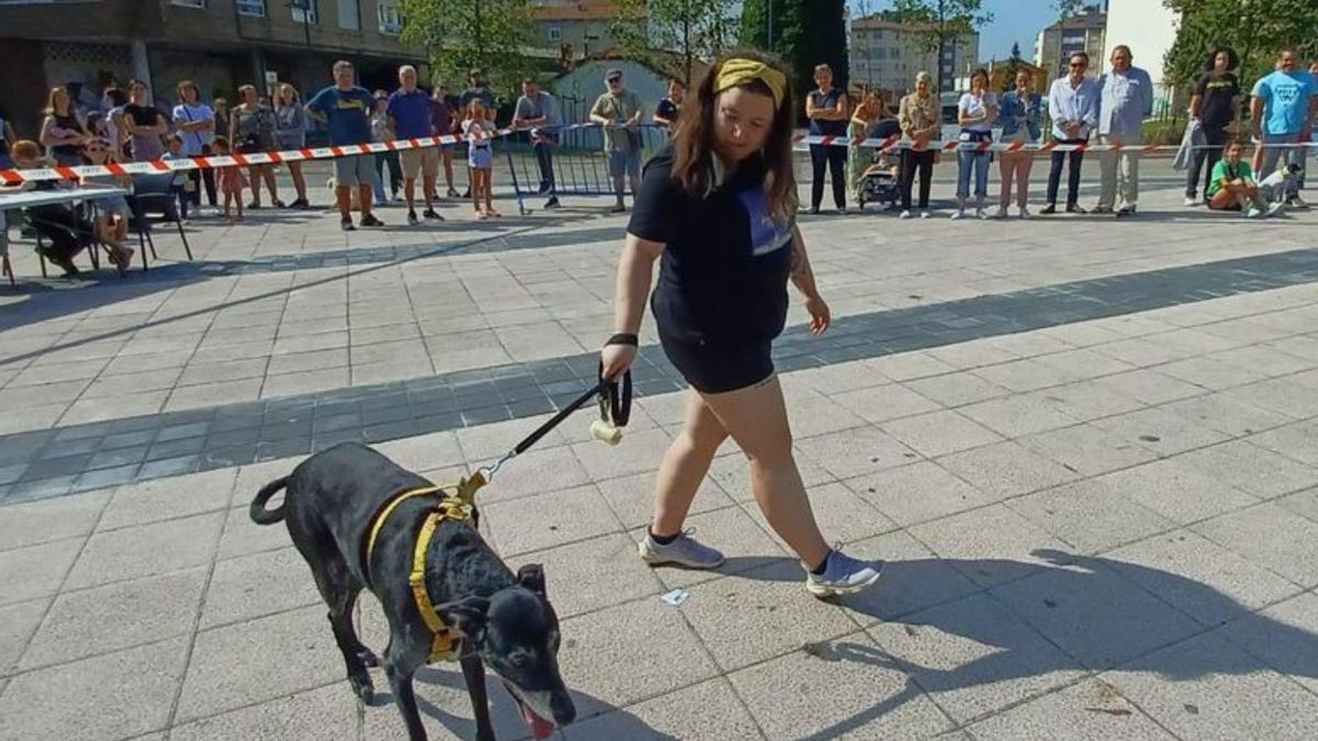 Desfile de perros en Lugones: así fue el concurso popular de canes - La  Nueva España