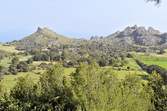 In Ariant blühen die mediterranen Pflanzen um die Wette. In dem von Heidi Gildemeister entworfenen Garten wird vieles den Launen der Natur und dem Zufall überlassen. Aber nicht alles.