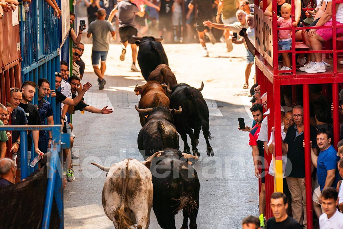Bous a l'Alcora 2025