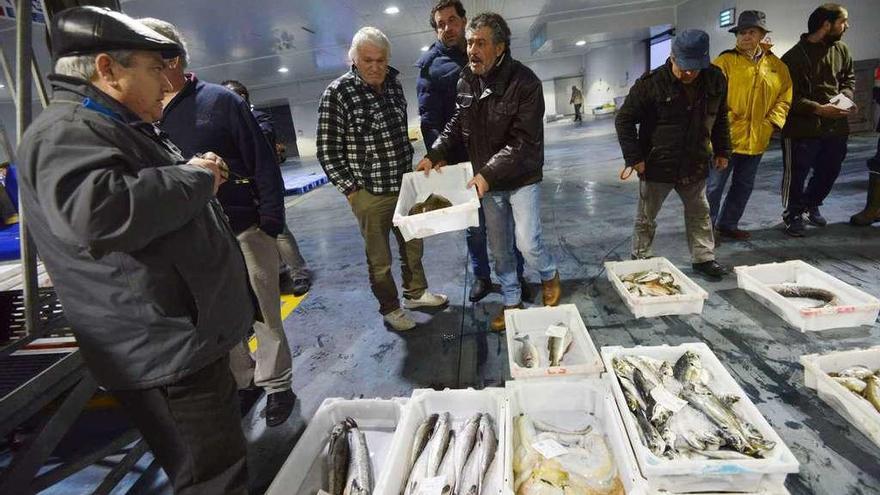 Subasta de pescado en la lonja de Portonovo. // Gustavo Santos