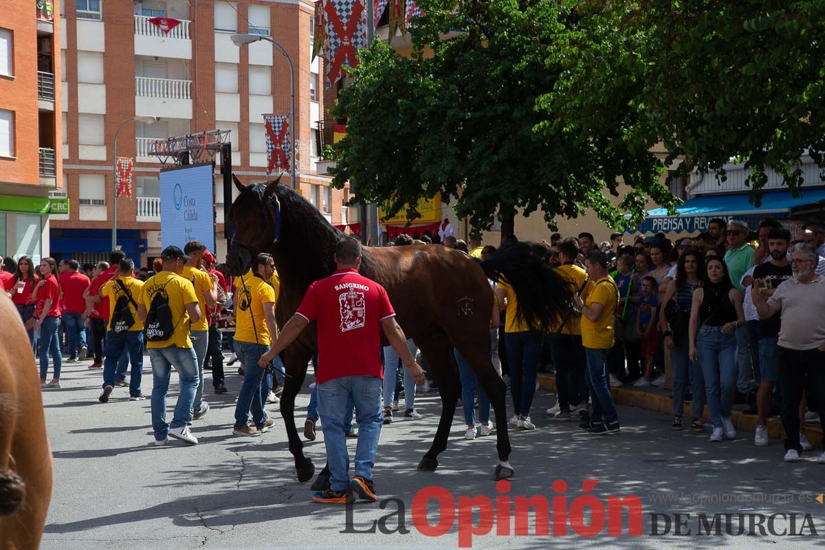 Pasacalles caballos del vino al hoyo