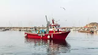 Comença la veda biològica de la pesca d'encerclament de la Costa Brava que per primer cop durarà dos mesos