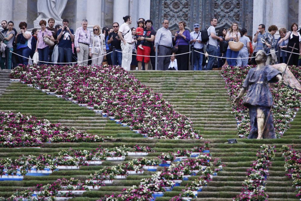 Temps de Flors 2005-2015