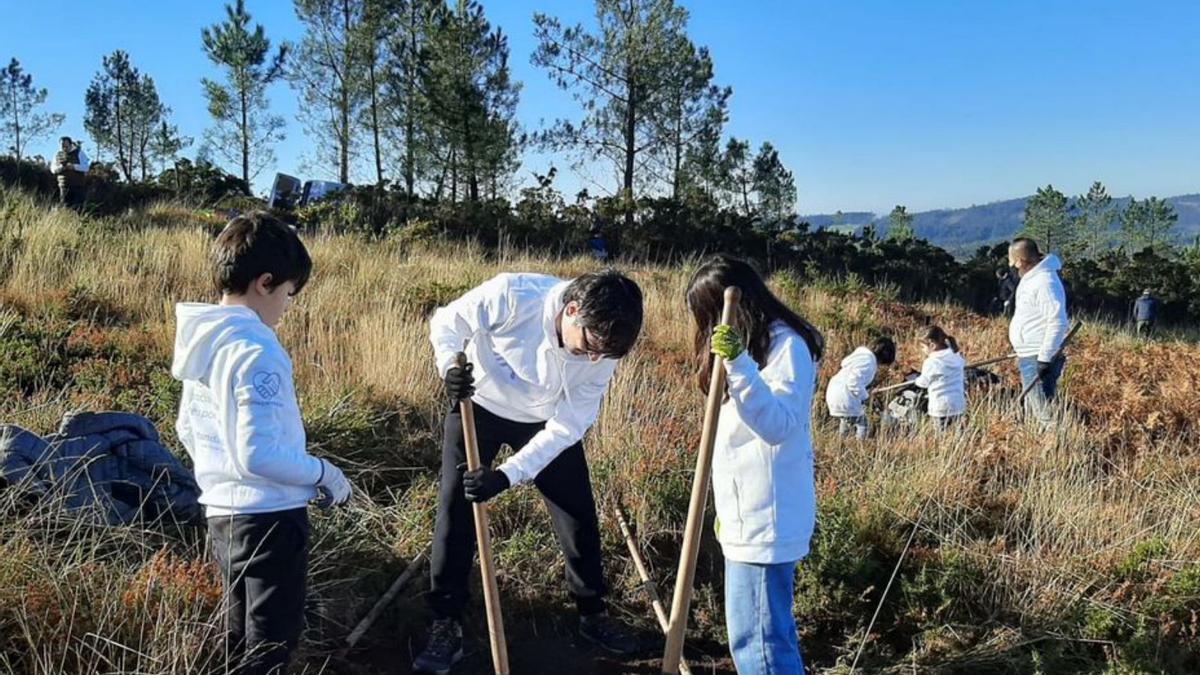 Niños colaboran en la reforestación de ayer.   | // AFUNDACIÓN