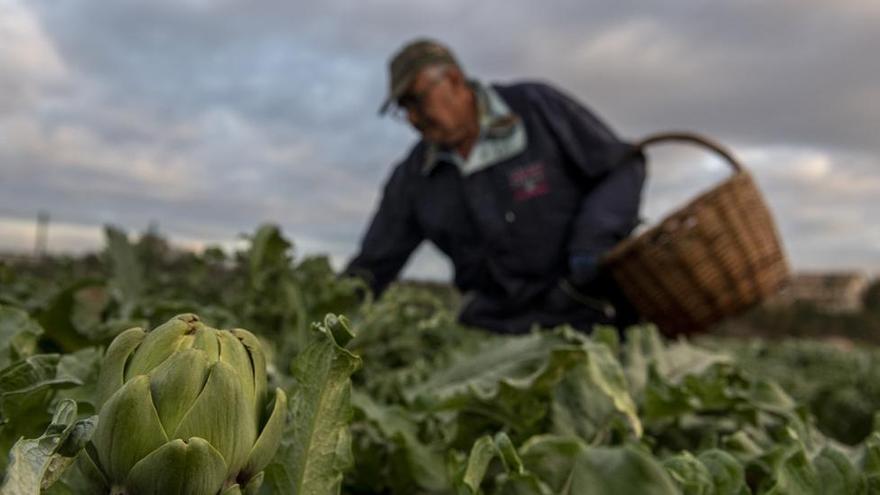 Mezcla para una crisis