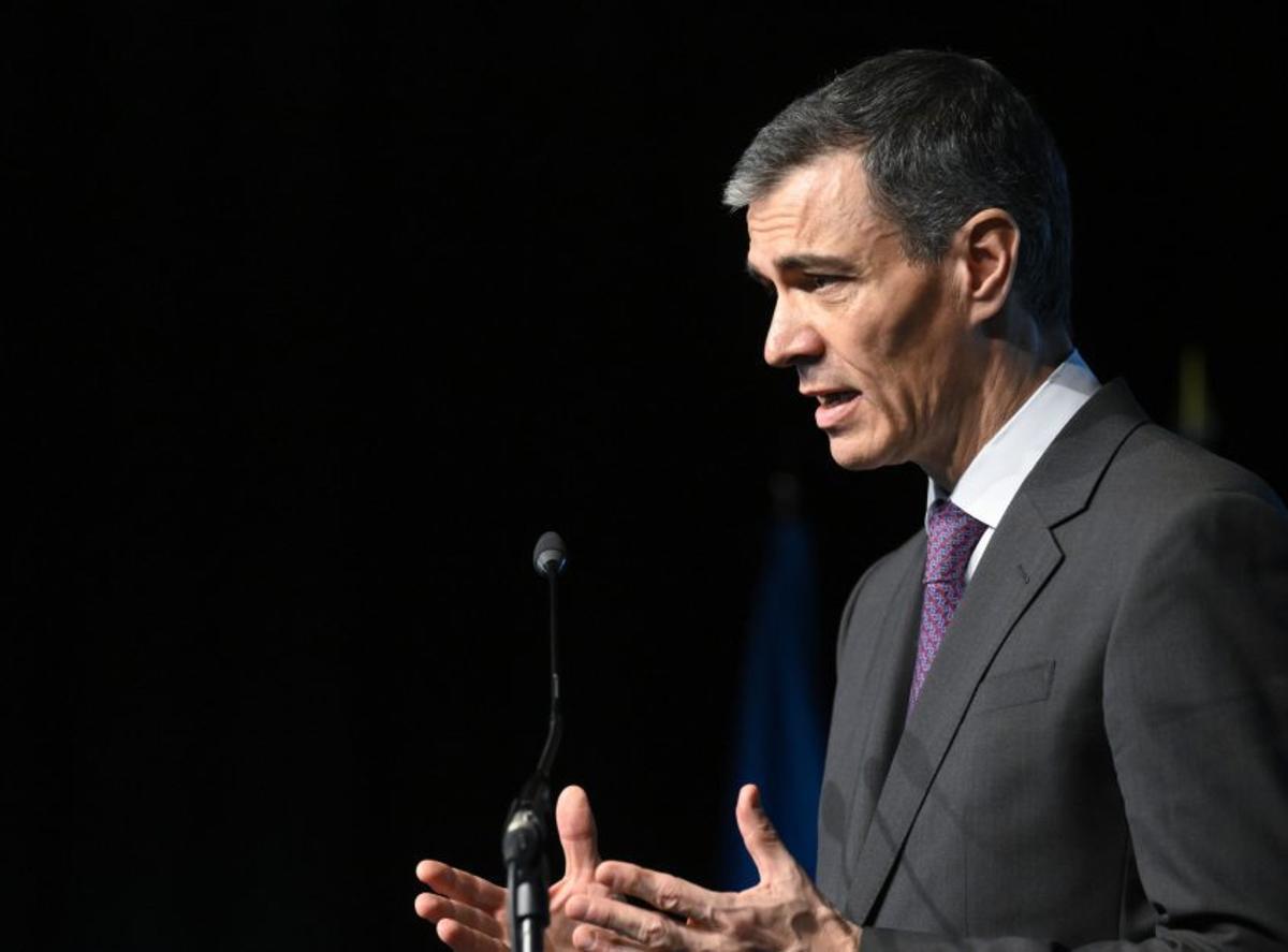 Elecciones anticipadas