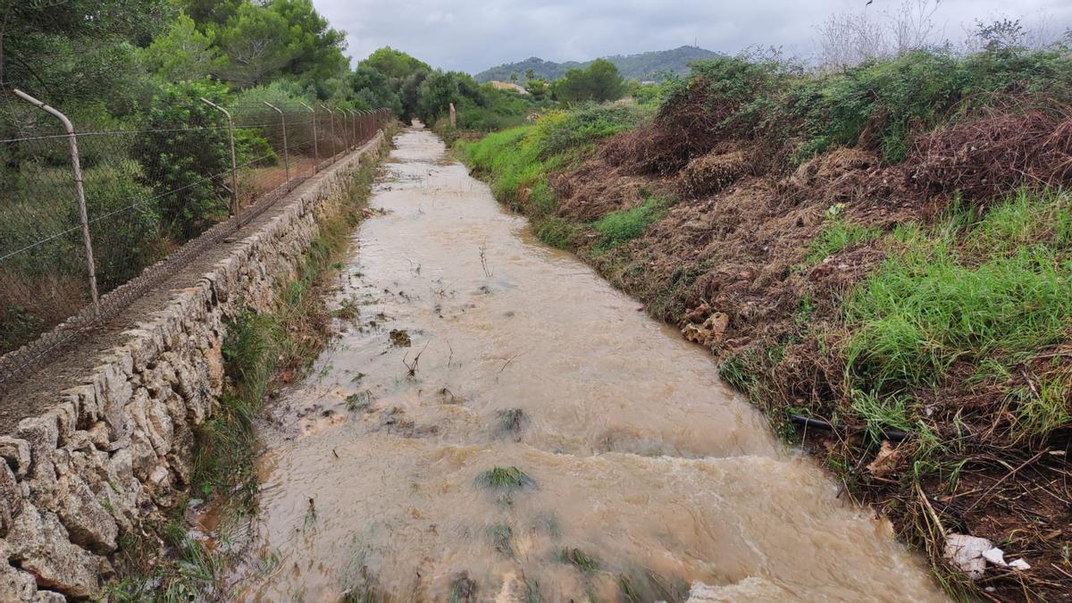 Imágenes de torrentes de Mallorca tras las lluvias de este domingo