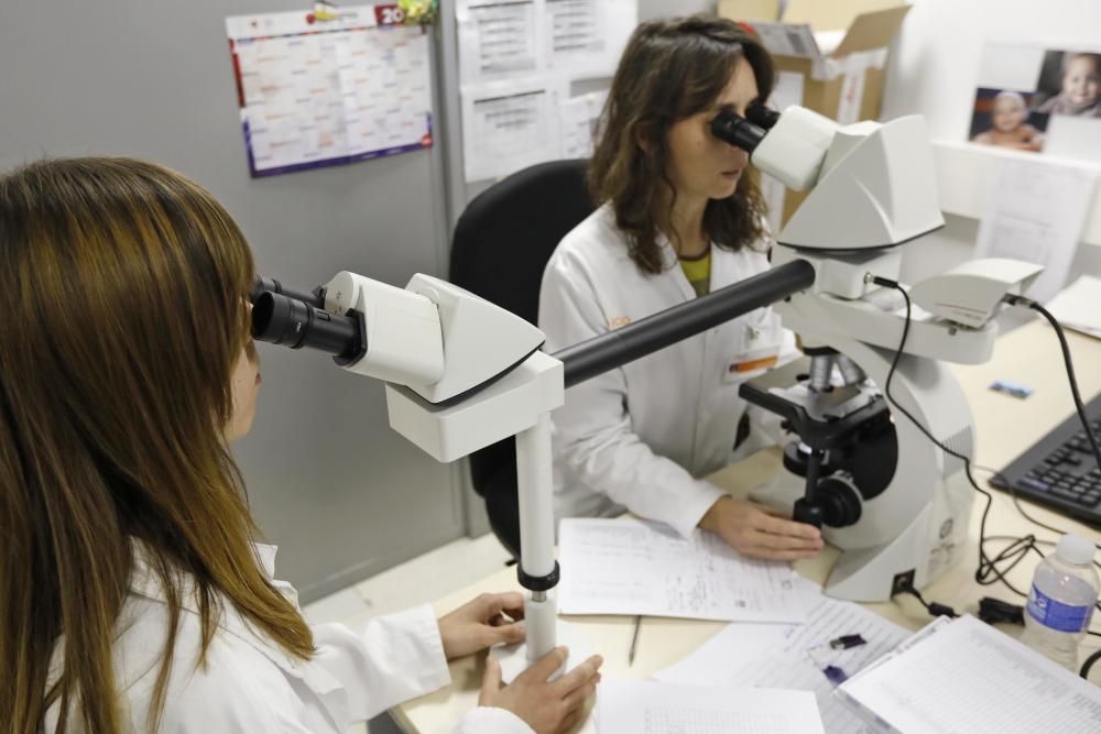 Nova àrea de biologia molecular a l'hospital Josep Trueta