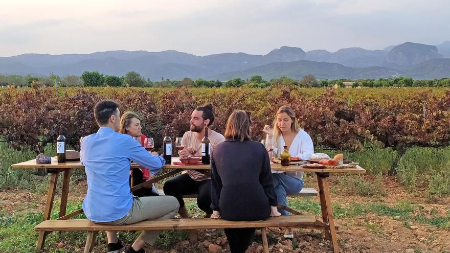 Conoce la esencia de uno de los mejores vinos de Mallorca