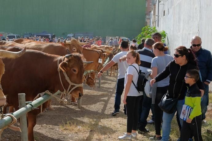 FIESTAS DE JINÁMAR