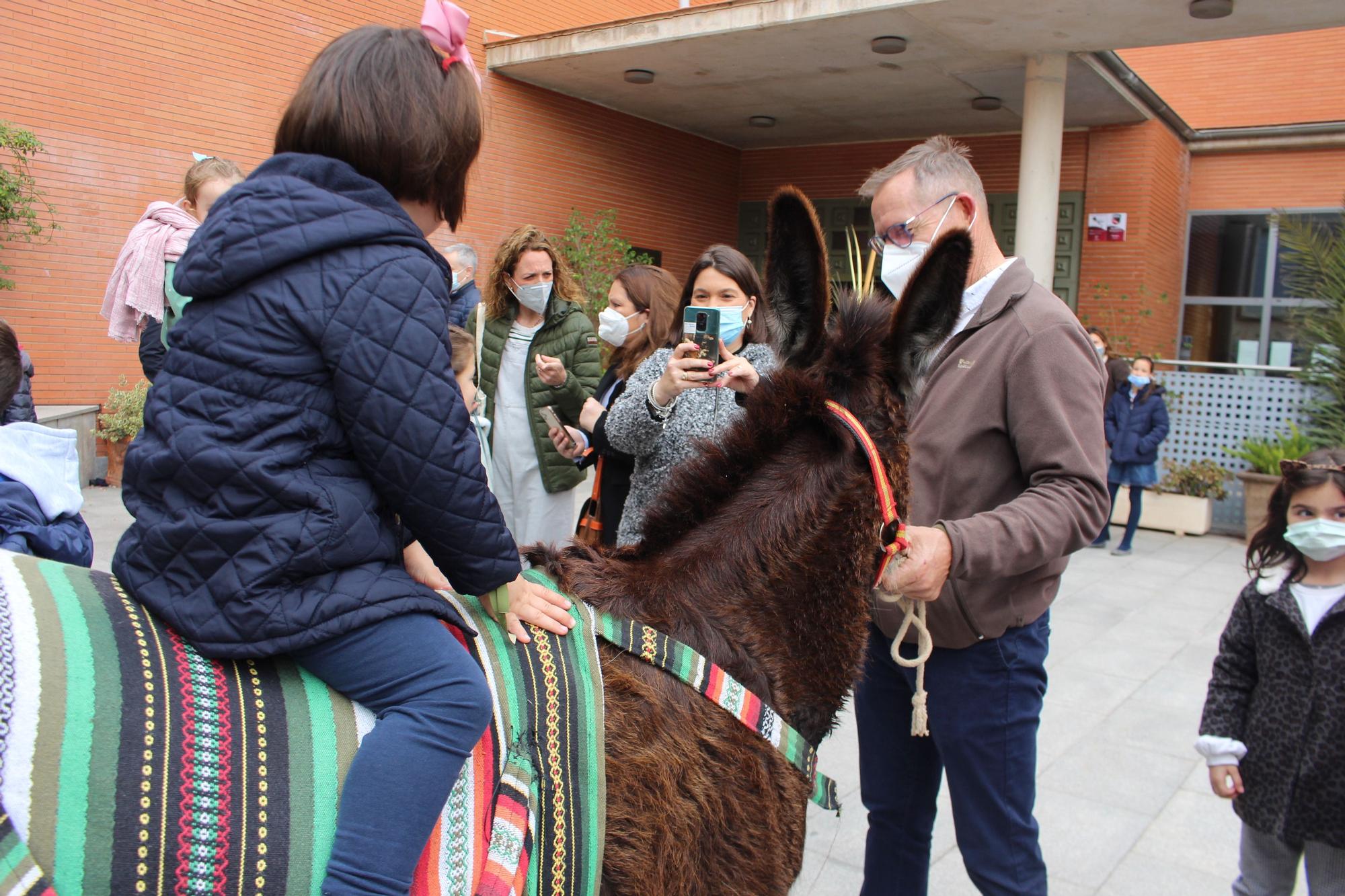 Domingo de Ramos en Beniferri con la burrita "Matilde"