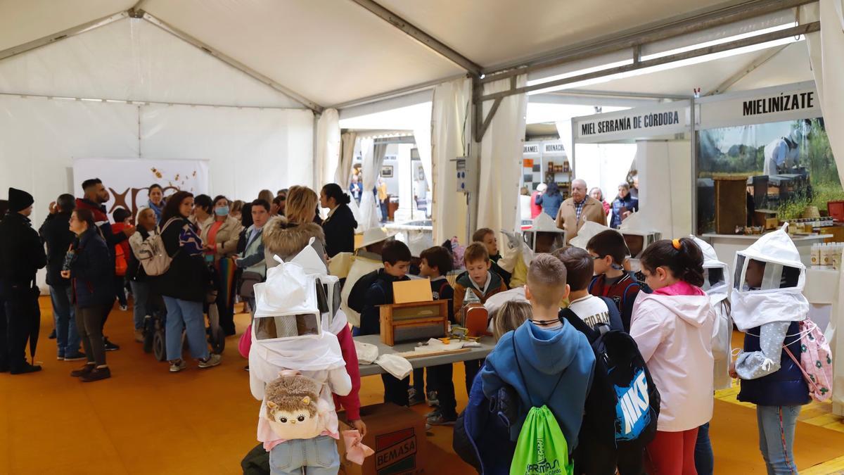 Varios colegios han visitado Expomiel en el día de su apertura.