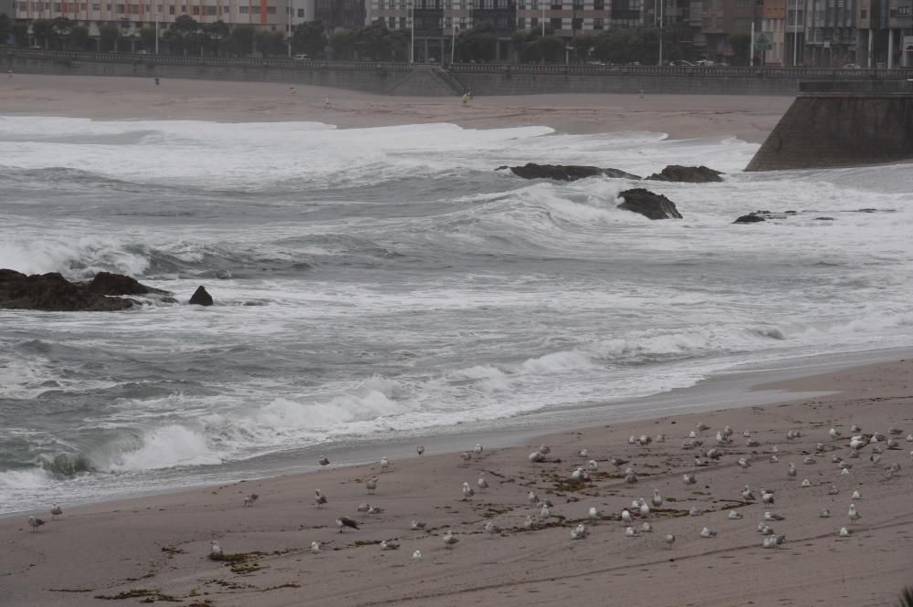 Junio se despide con tiempo inestable en A Coruña