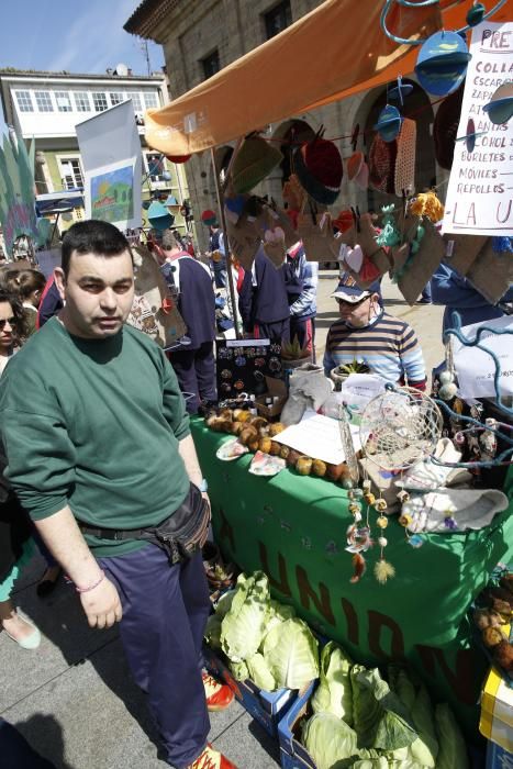 Mercado de cooperativas y asociaciones en Avilés