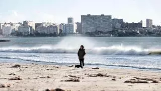 Así barre la borrasca Ingrid Alicante: rachas de más de 100 km/h y una docena de incidencias