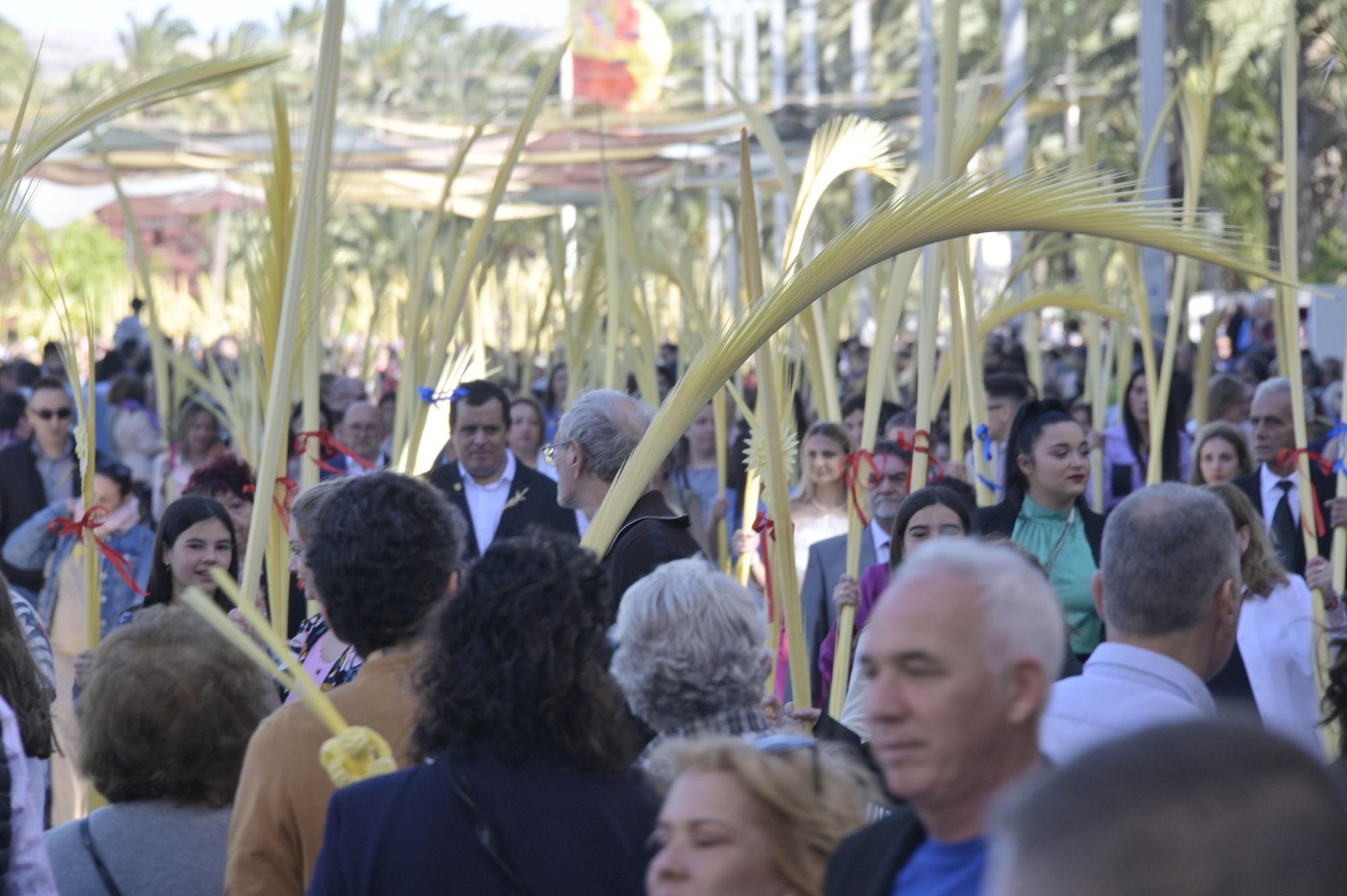 Domingo de Ramos en Elche