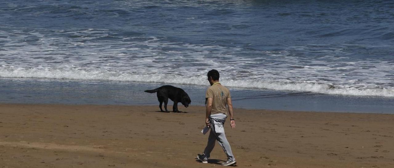 Día 9 de desescalada: Asturias pide paso hacia la nueva normalidad, estudia la reapertura de playas y saca el campanu