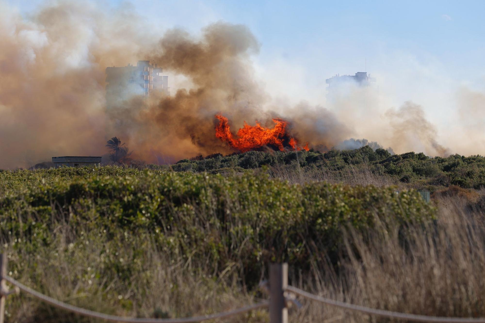 Declarado un incendio en el Saler