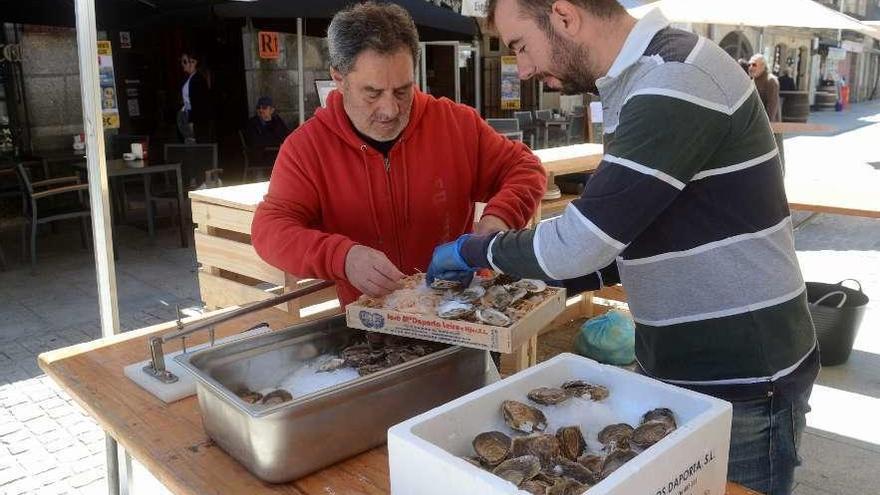 La Festa da Ostra de Cambados agotó ayer las existencias. // Noé Parga