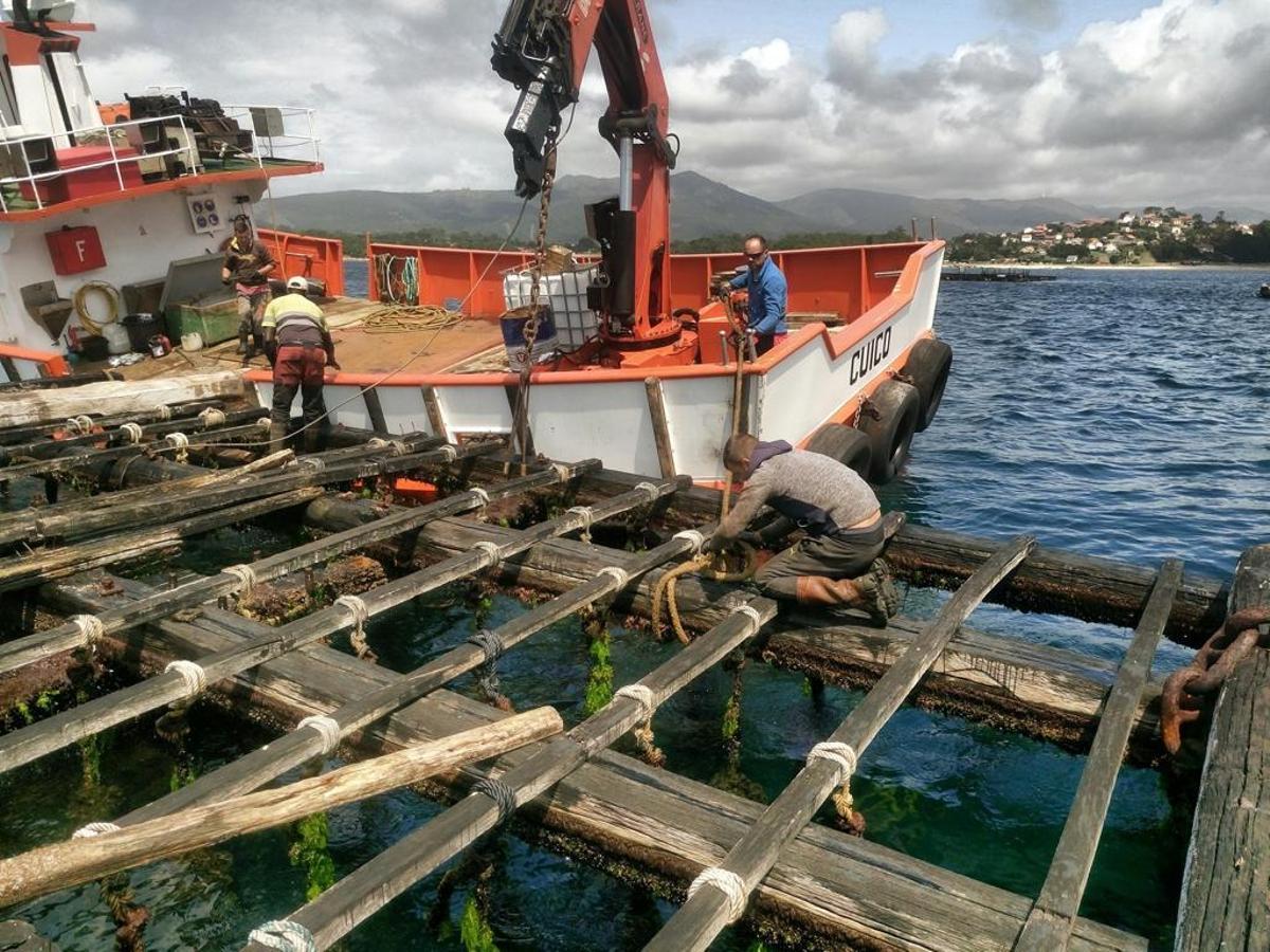 Reparación de bateas en Arousa.