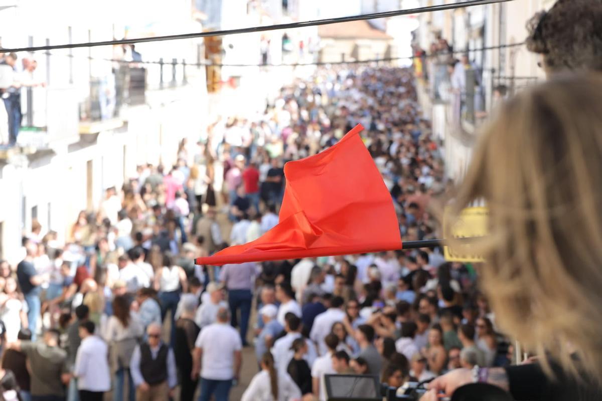 Bandera roja en Arroyo de la Luz: se paralizan las carreras de caballos.