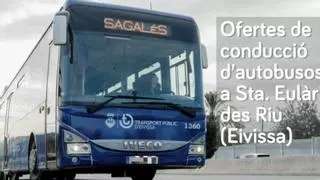 Una empresas de autobuses ofrece 50 puestos de trabajo en Ibiza con alojamiento