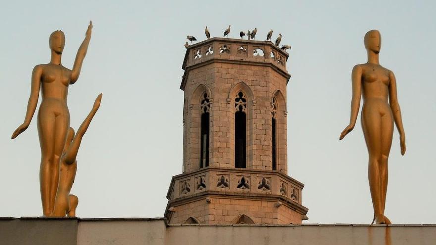 Un grup de cigonyes aturat a Figueres.