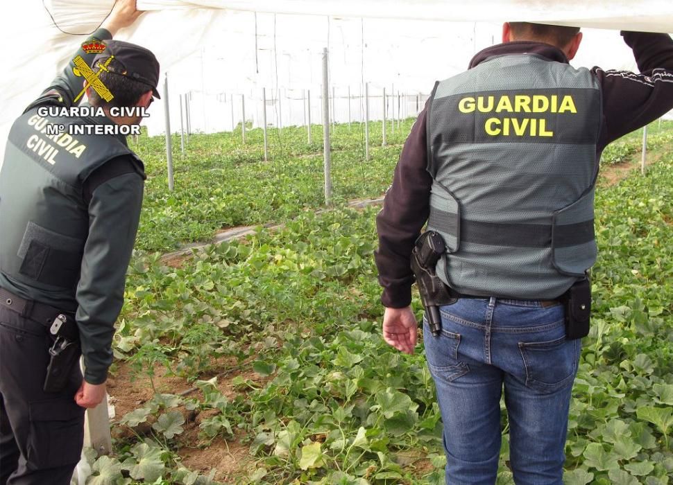 Operación en Las Torres contra la droga