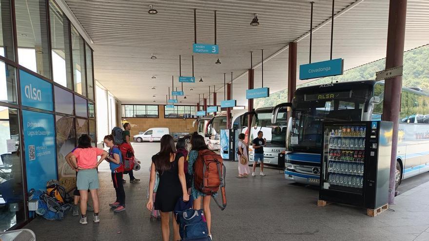 Comienza la temporada alta para el operativo del plan de transporte a los Lagos de Covadonga