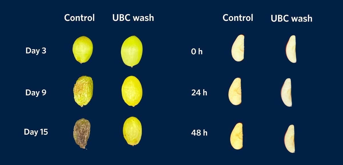 A la izquierda, un grano de uva sin y con la solución de lavado y, a la derecha, una porción de manzana