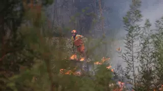 La FADE cifra en 100 millones de euros los daños de los incendios de las últimas dos semanas en Asturias