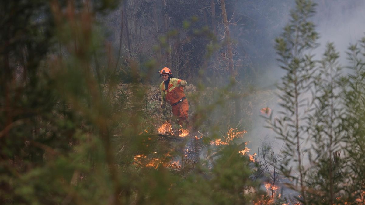 Dura lucha contra los incendios de Tineo y Valdés