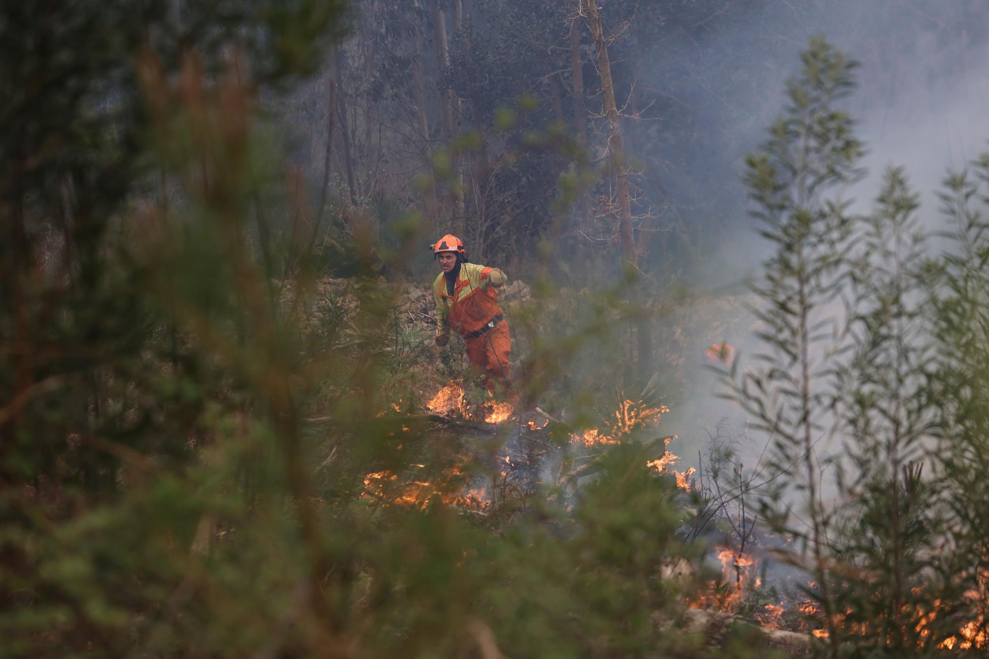 Dura lucha contra los incendios de Tineo y Valdés