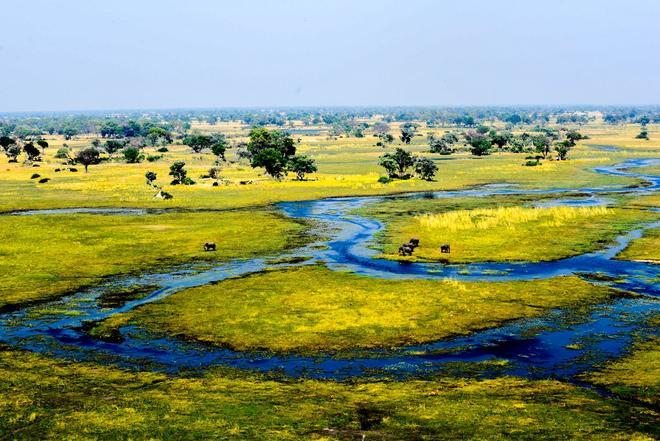 Delta del Okavango, Botswana