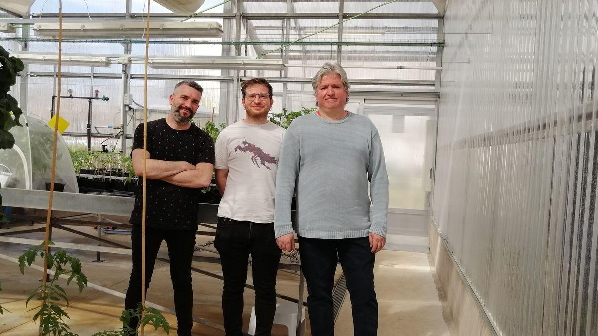 Varios investigadores de la UJI estudian nuevos mecanismos para lograr cultivos más tolerantes al cambio climático