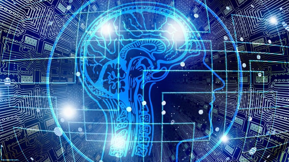 La forma en la que aprende el cerebro humano es diferente a la estrategia utilizada por los sistemas de Inteligencia Artificial (IA).