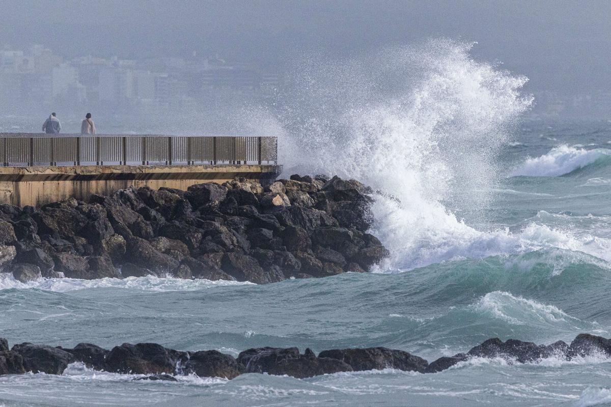 Fuertes rachas de viento en Palma. EFE/ Cati Cladera Fuertes rachas de viento en Palma. EFE/ Cati Cladera
