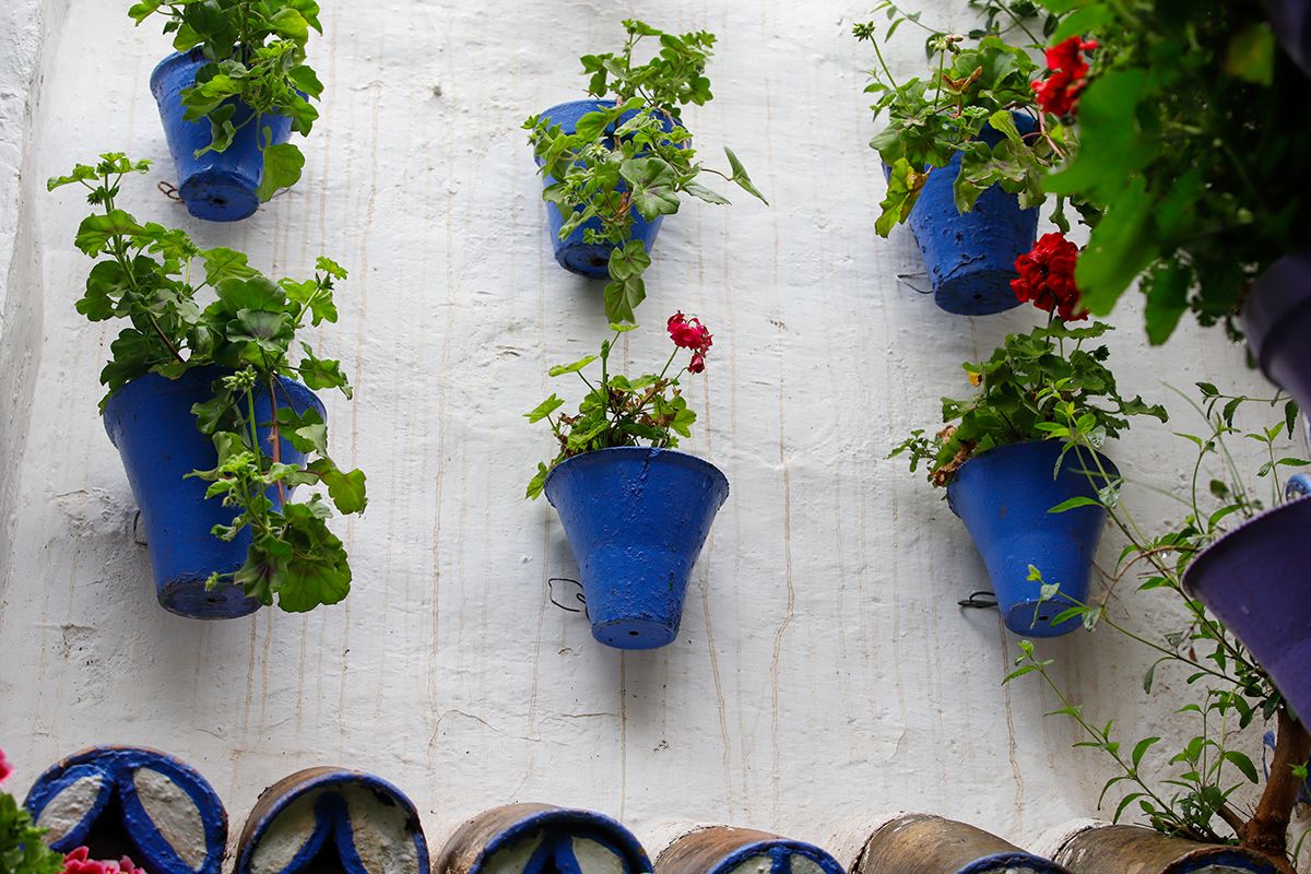 Los restos de la calima en los patios