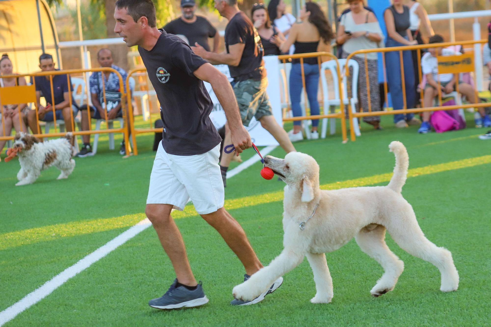 Feria del Ganado Dolores FEGADO 2022