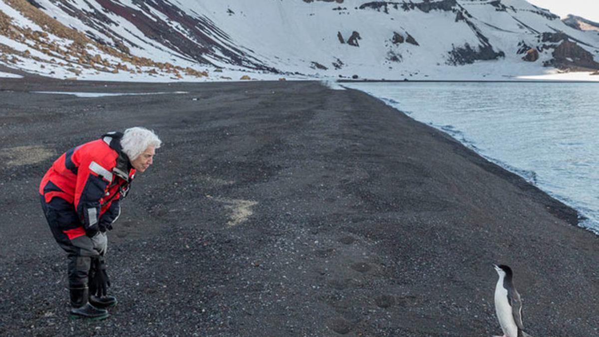 Pepita Castellví, charlando con un pingüino de la especie barbijo.