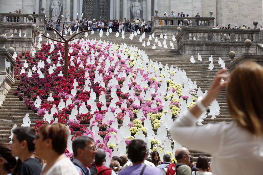 Temps de Flors 2005-2015