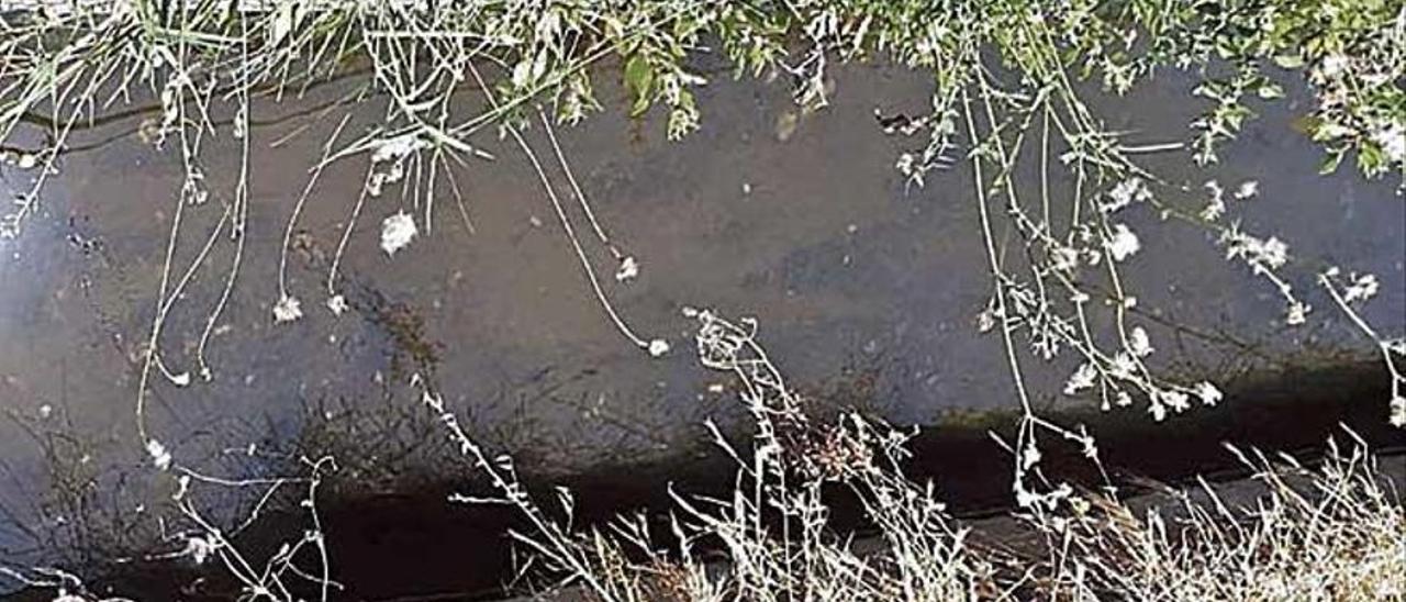 La acequia de riego agrÍ­cola