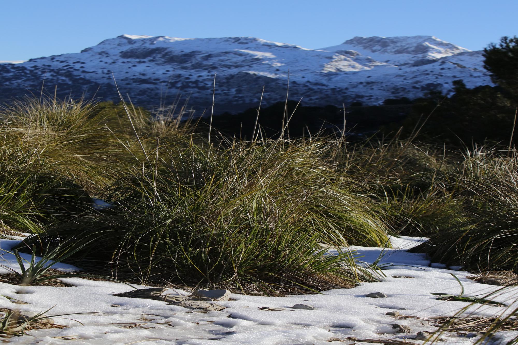 Schnee in der Tramuntana - Wanderung am Stausee Cúber auf Mallorca